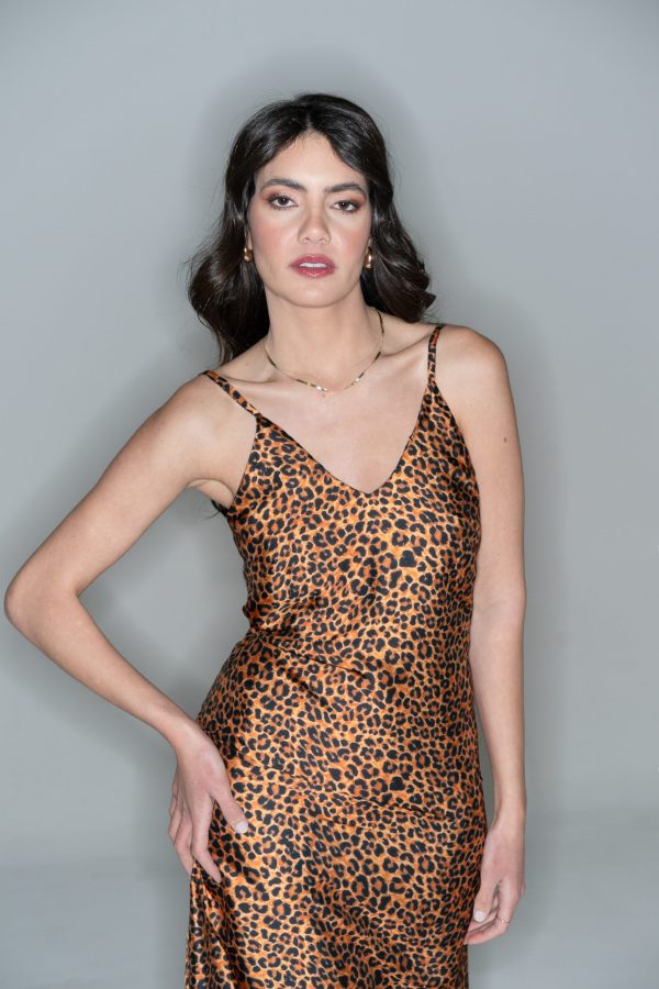 DIANA Leopard Long Dress